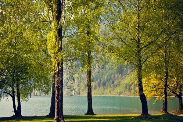 Lago de primavera al pie de las montañas en Suiza