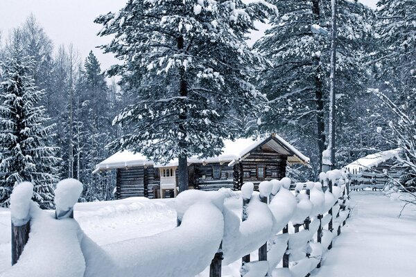 Choza en el bosque en ventisqueros de nieve