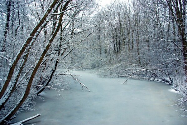 Frozen river in cold winter