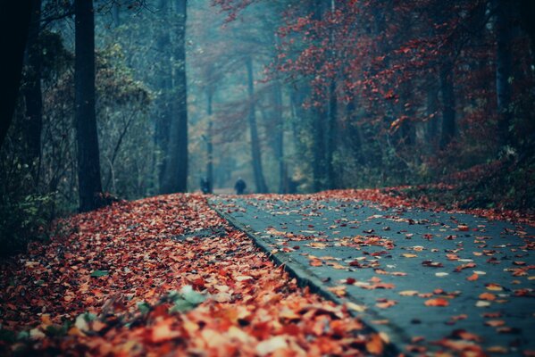 Laub auf dem Gehweg im Herbstpark