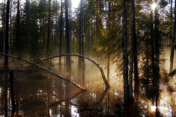 La extraordinaria belleza de la naturaleza