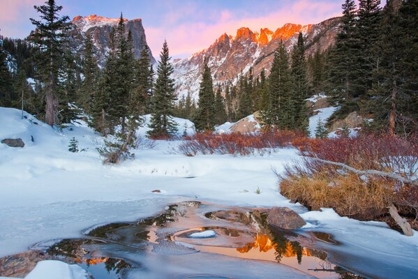 Fiume di montagna in inverno sullo sfondo della foresta