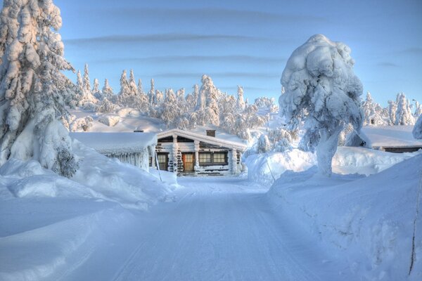 Winter road to a cabin in Finland