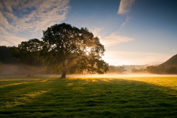 Morgenlandschaft mit aufgehenden Sonnenstrahlen