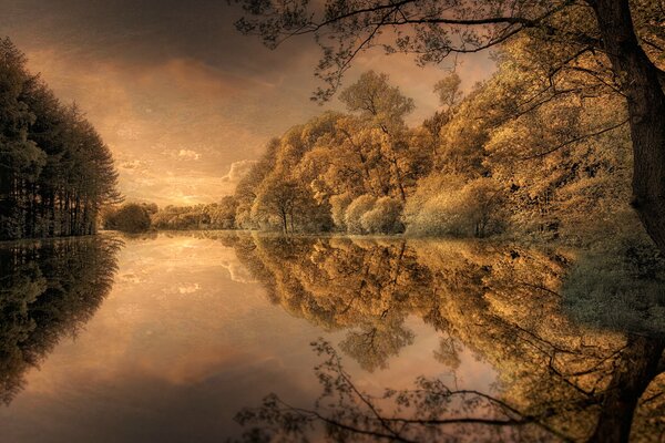 Painting autumn. Trees near the river