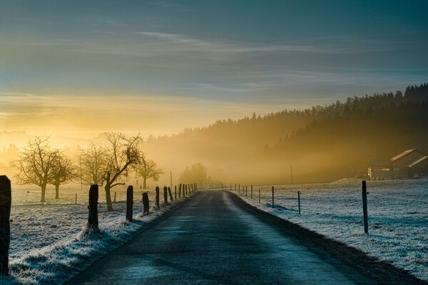 Route dans le brouillard le matin dans la nature