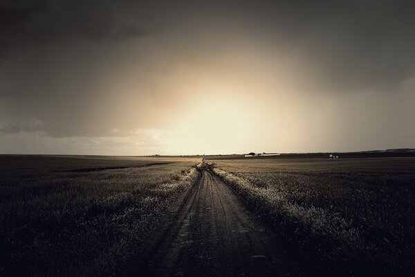 The beauty of the landscape is the road to the field