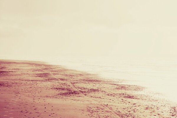 Landscape of a sandy beach with footprints