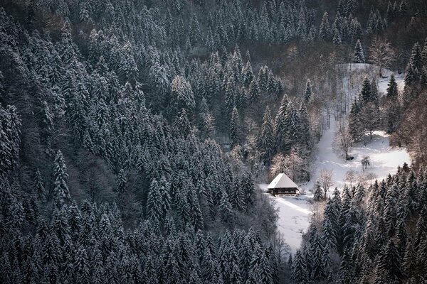 A house in the winter forest. top view