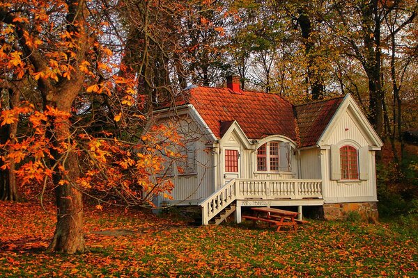 Biały prywatny domek na jesiennej działce