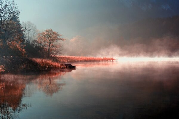 The shore of the lake in the fog