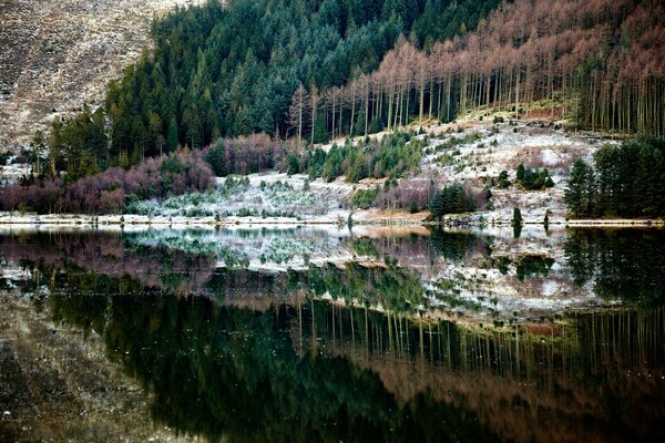 El bosque de otoño se refleja en el lago