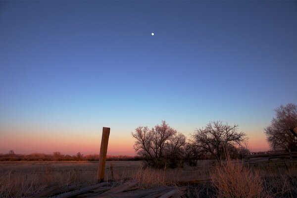 Evening sunset in the field and the moon in the sky