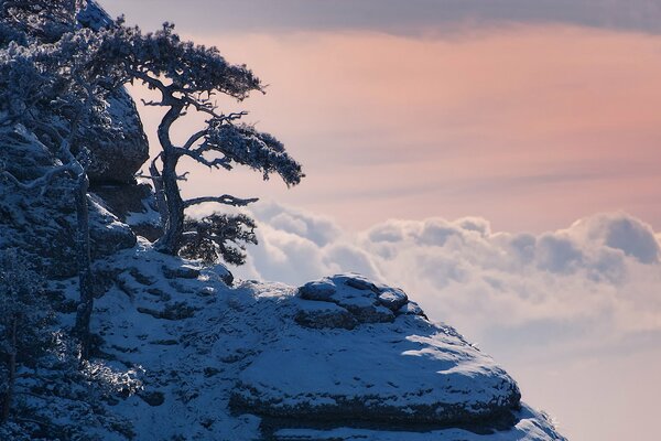 Falaise de montagne sous la neige à la hauteur des nuages