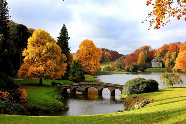 Golden très et pont sur le lac