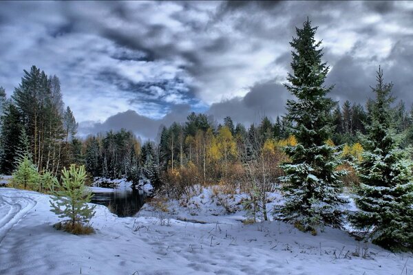 Rivière entourée d arbres dans la forêt d hiver