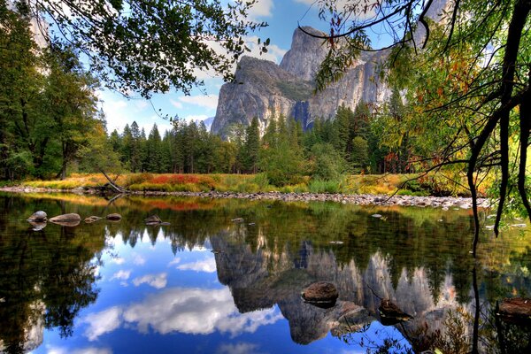 Lake in the mountains with rocks and branches