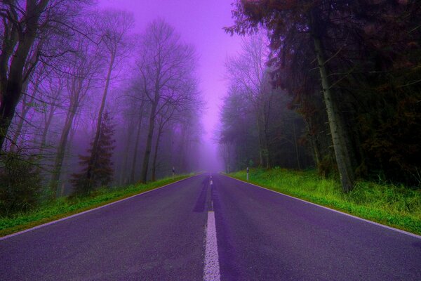 Mystic lilas Road to Nowhere