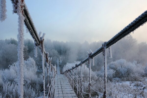 The bridge covered with frost in winter