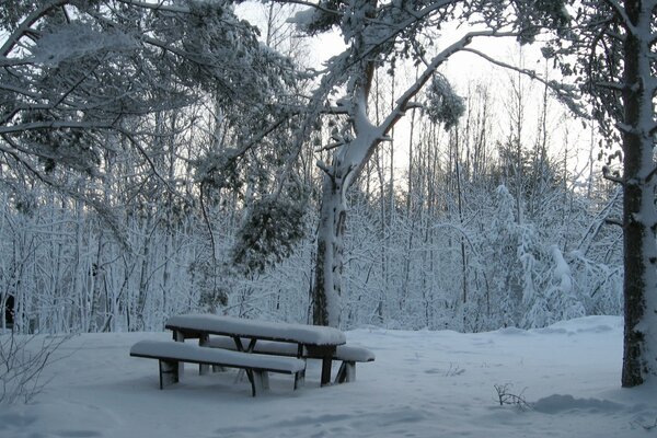 Un lugar de picnic cubierto de nieve en el bosque