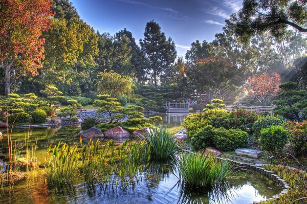 Schöner Teich im japanischen Garten