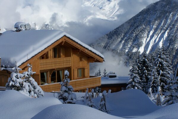 Wooden house and snow-covered fir trees in the mountains