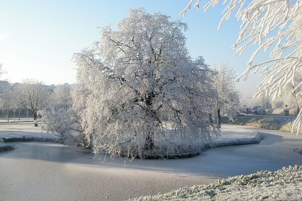 Winter fairy tale in white