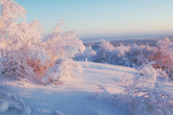 Verschneiter sonniger Winter auf dem Berg