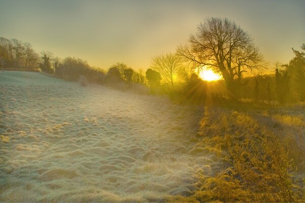 Der Morgen in England ist auch sehr schön