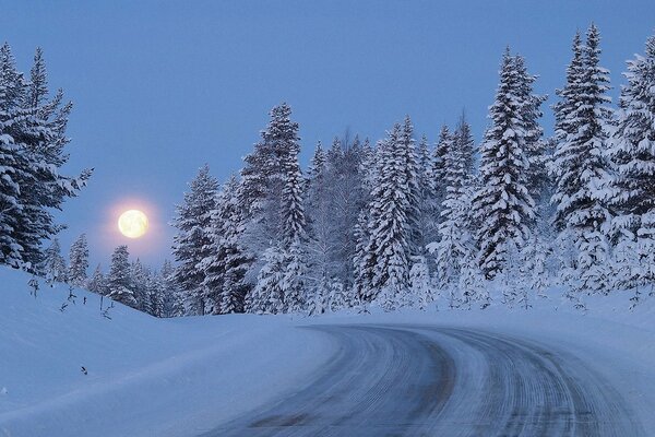 Winterstraße in schneebedeckten Tannen bei Vollmond