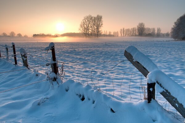 Frost und Sonne sind ein wunderbarer Tag