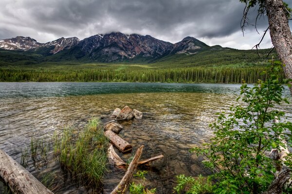 Natura con montagna, fiume e foresta