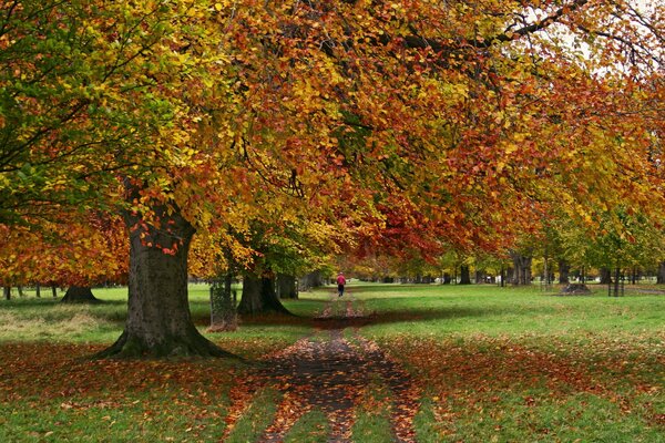 Periodo autunnale nel Parco della città