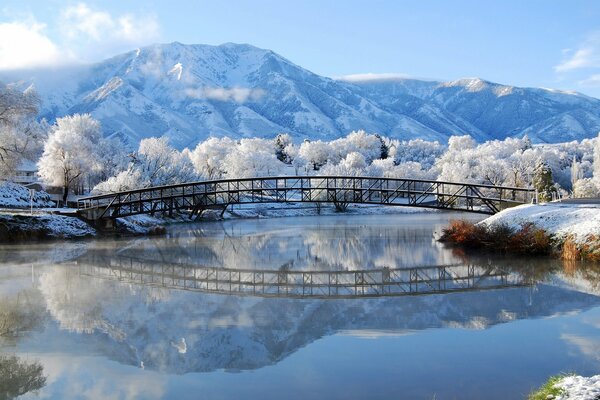 Winter bridge over the lake