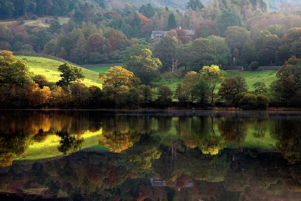 Paysage nature représenté rivière rive et forêt