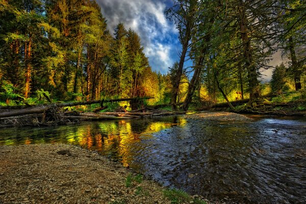 Paisaje de otoño con río y bosque