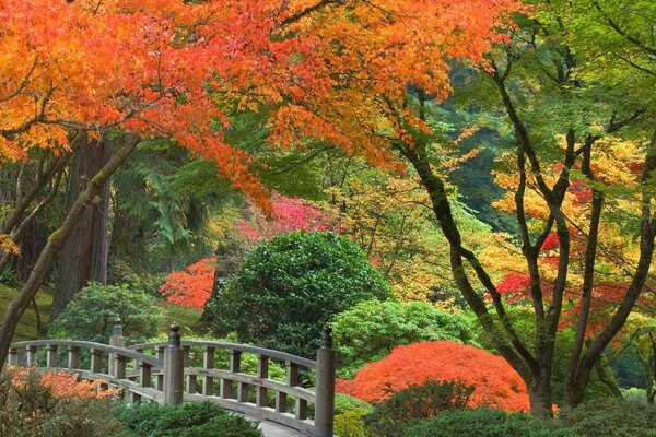 Wunderbare Brücke im japanischen Wald