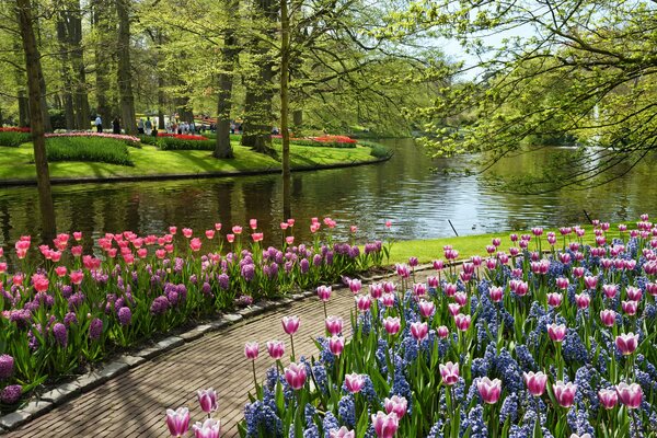 Ein Park mit Tulpen am Teich