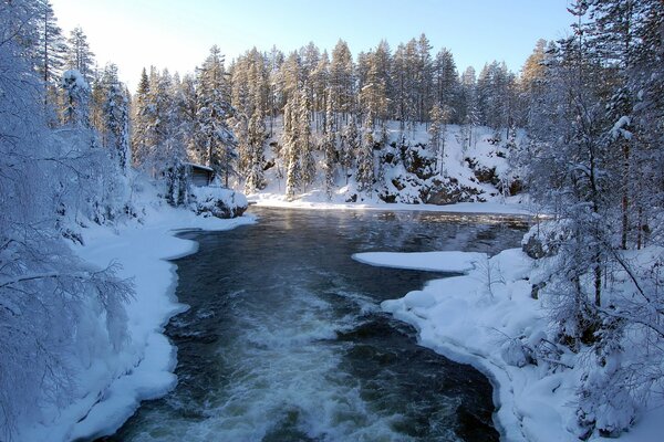 Zimowy wieczór nad rzeką w lesie