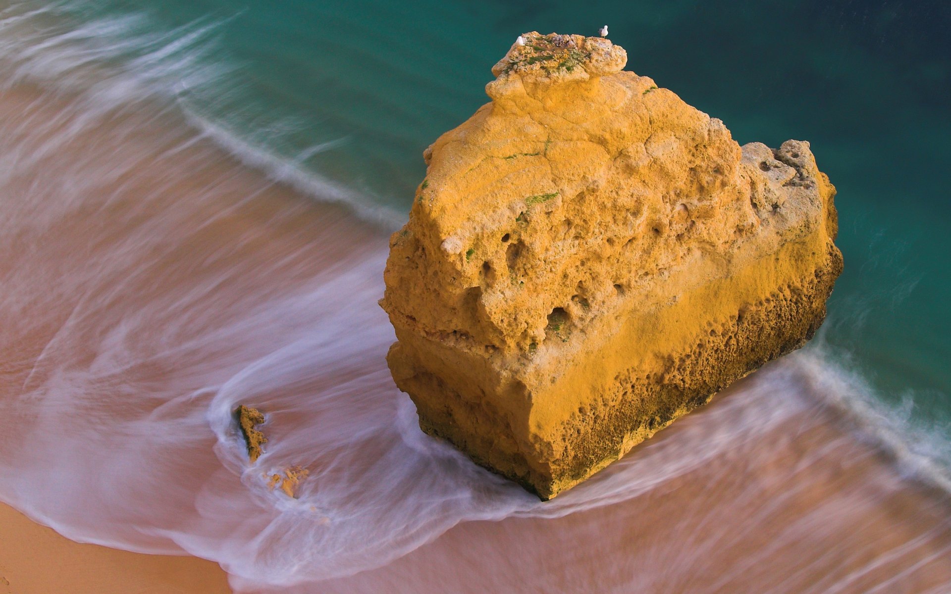 ea water ocean coast coast stone stones rock rocks birds bird seagull seagulls surf