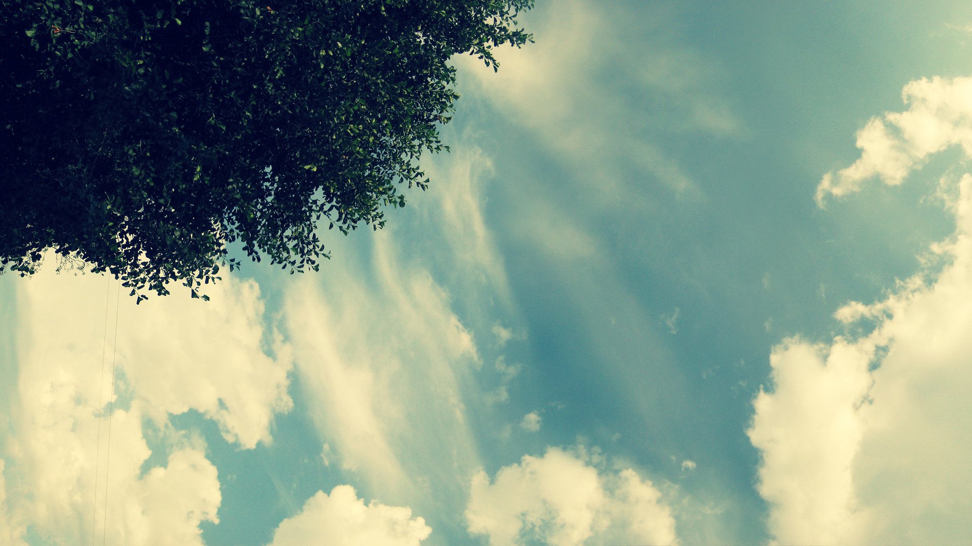 cielo árbol luz nubes