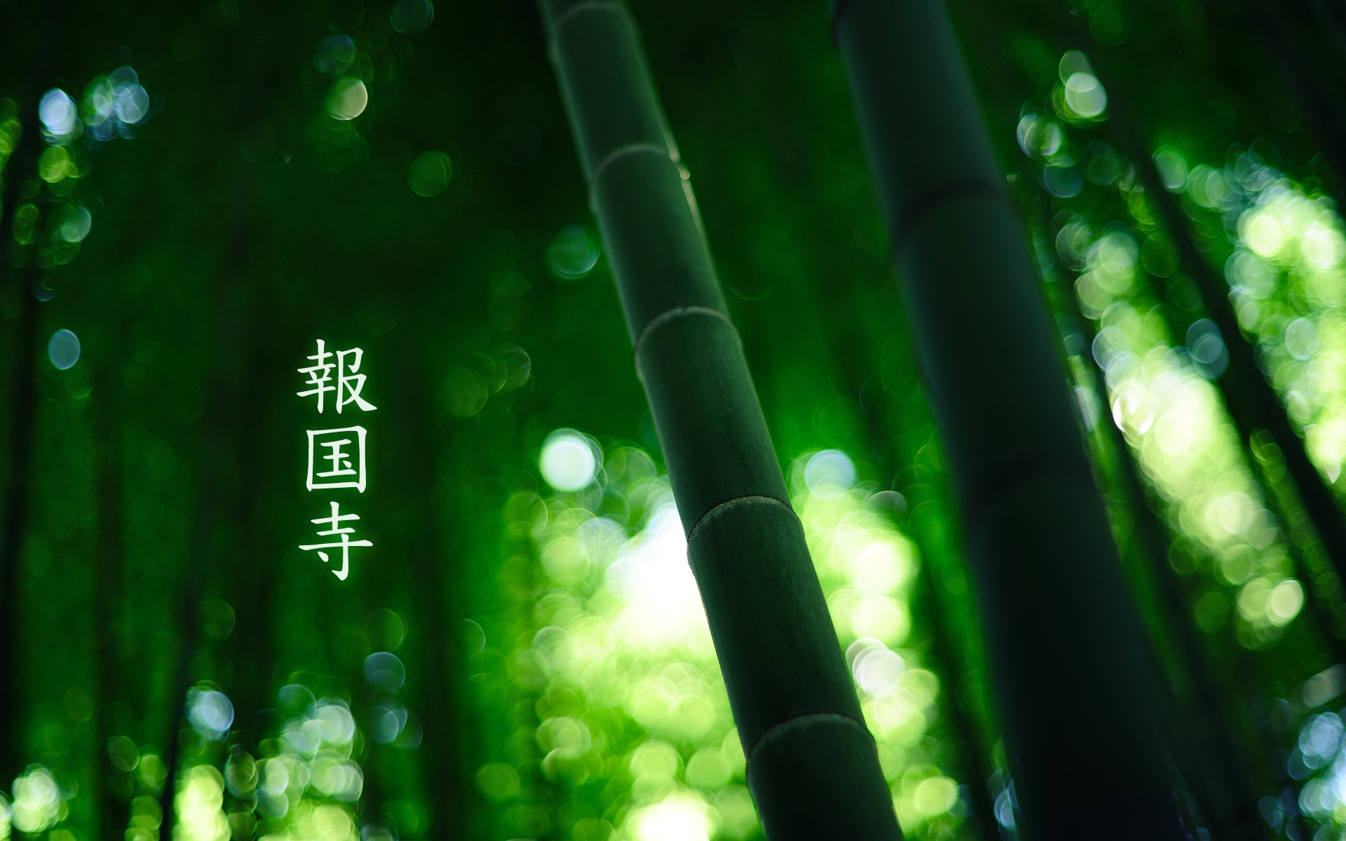 forest bamboo characters green colour by burningmonk 1920x1200