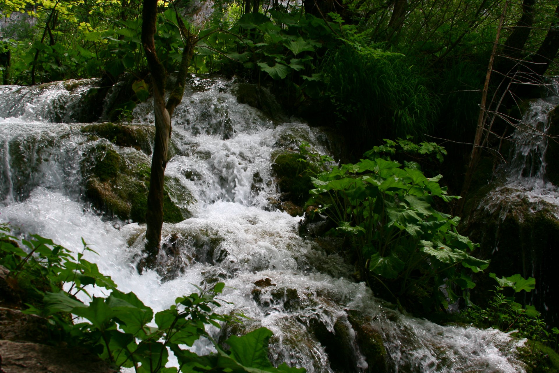 natura paesaggio plitvit laghi cascate rapide verde acqua vacanze viaggi