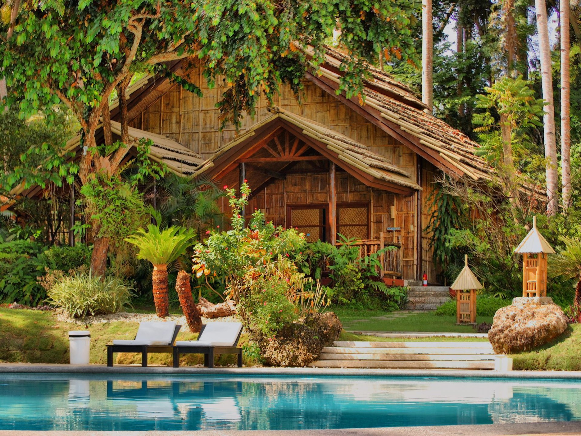 maison arbres eau piscine palmiers