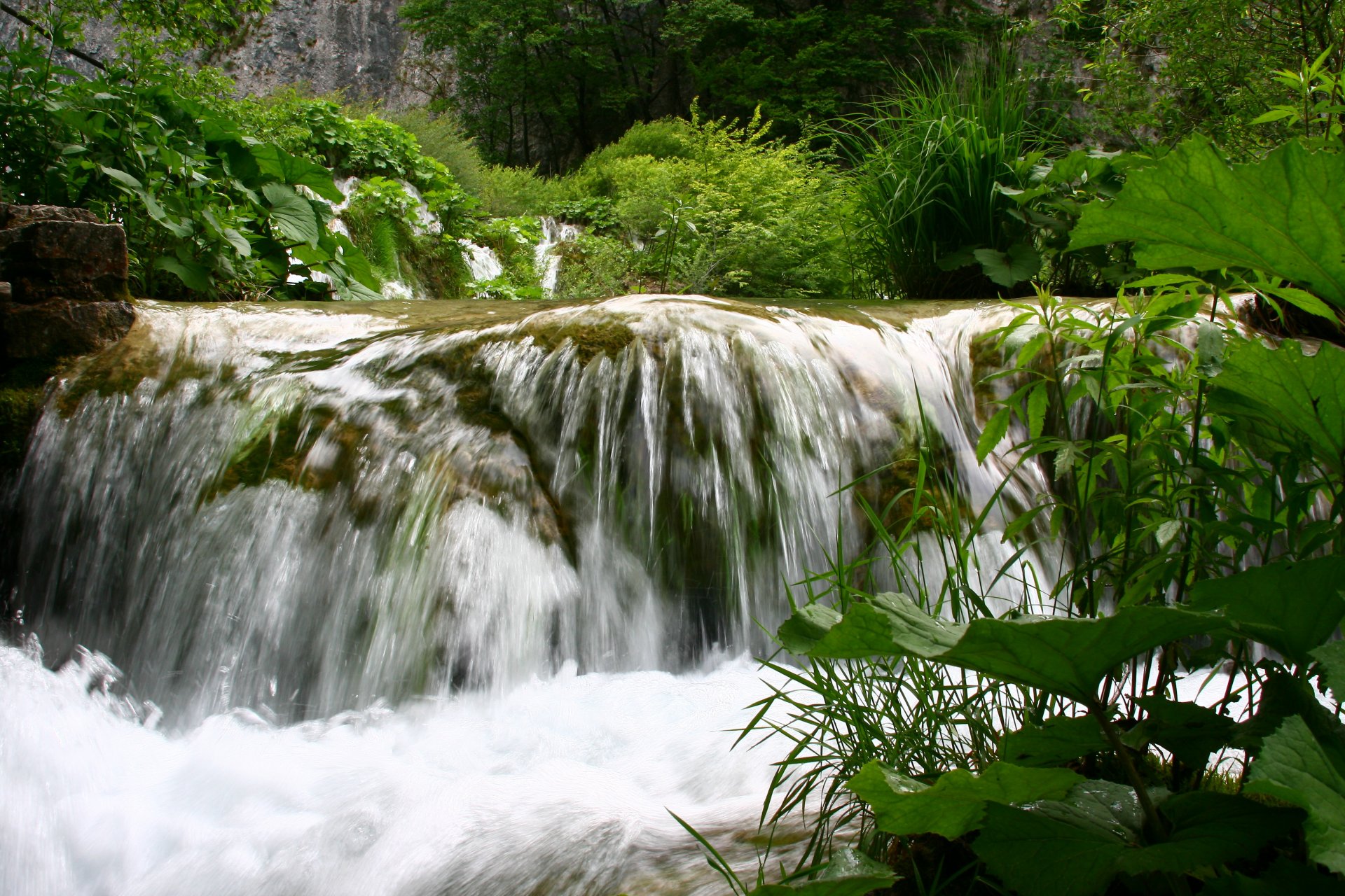 acqua natura paesaggio verde cascata estate