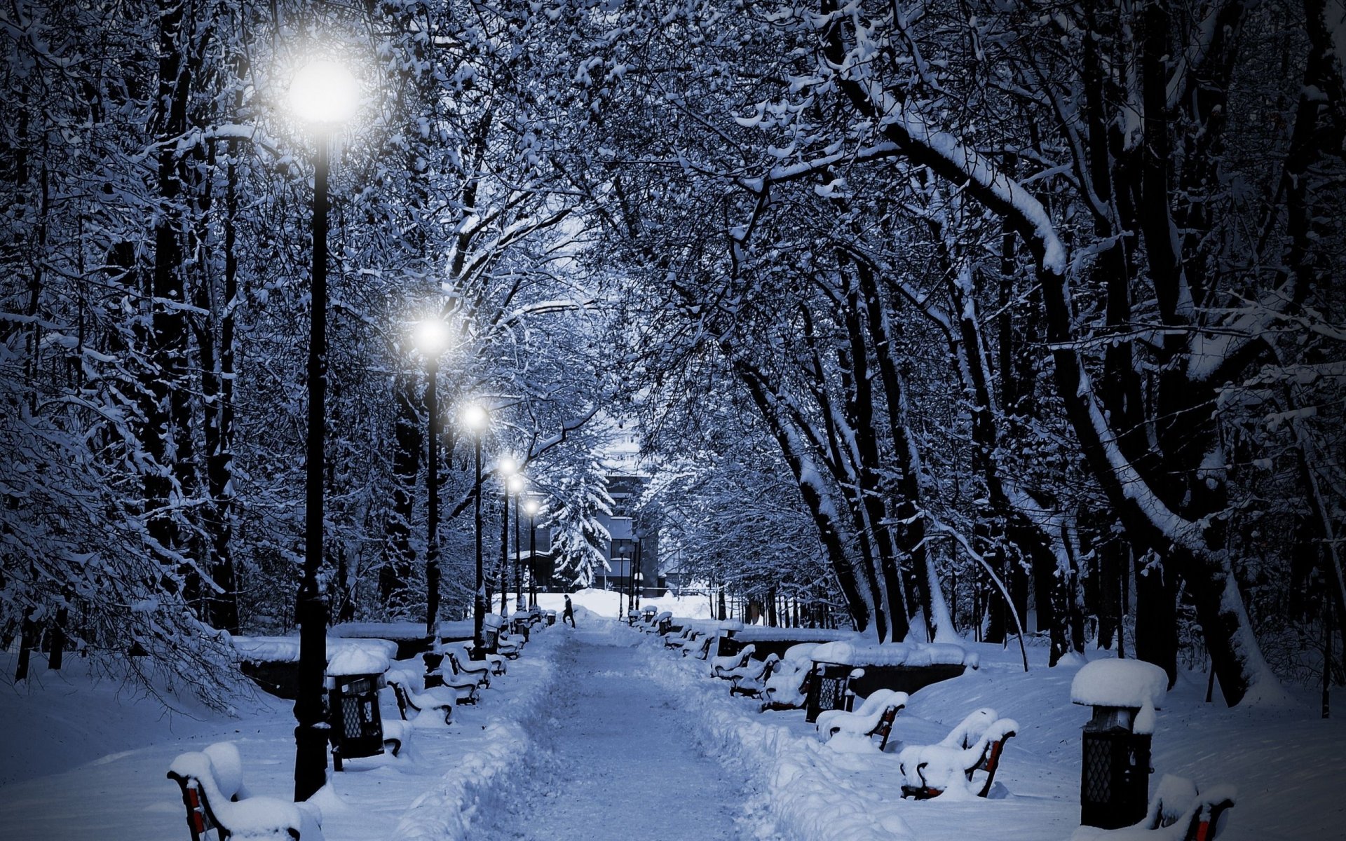 hiver arbres neige parc bancs lanternes lumières soirée