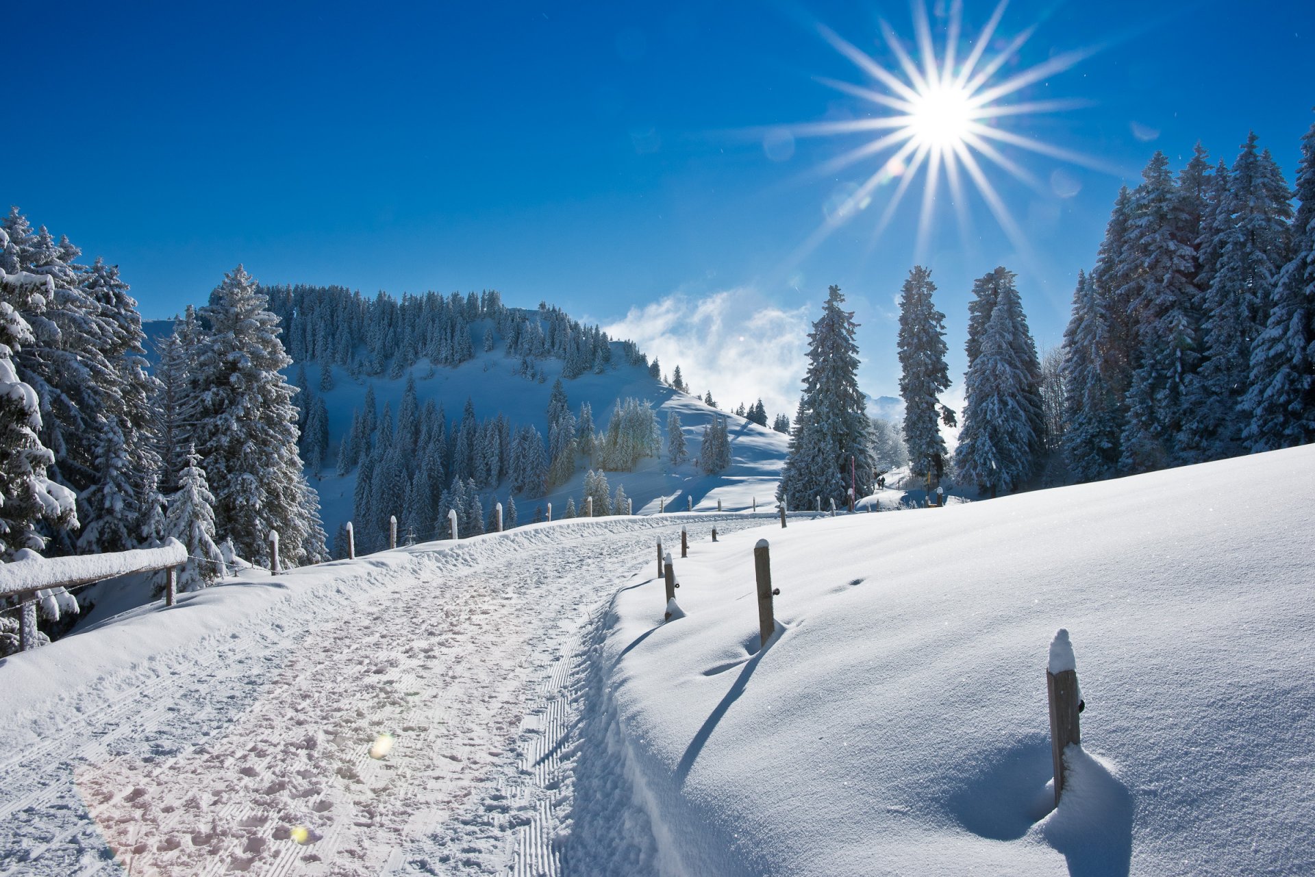 natura inverno strada neve sole raggi abbagliamento