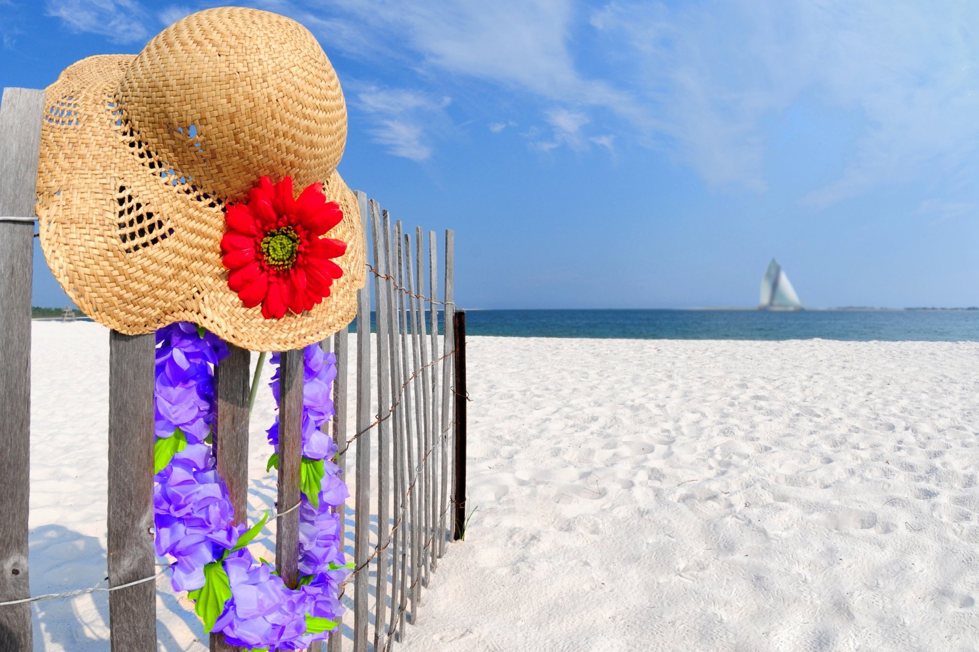 natur landschaft strand sand blumen sommer hut himmel wolken