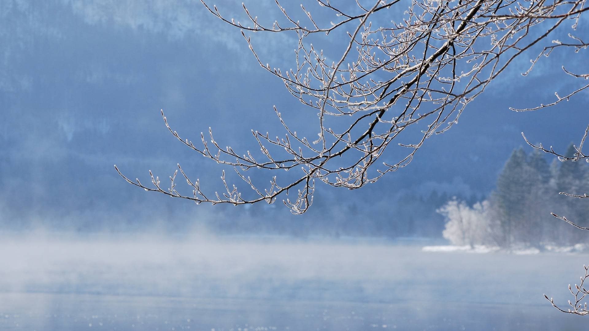 winter snow river water winter lakes branch