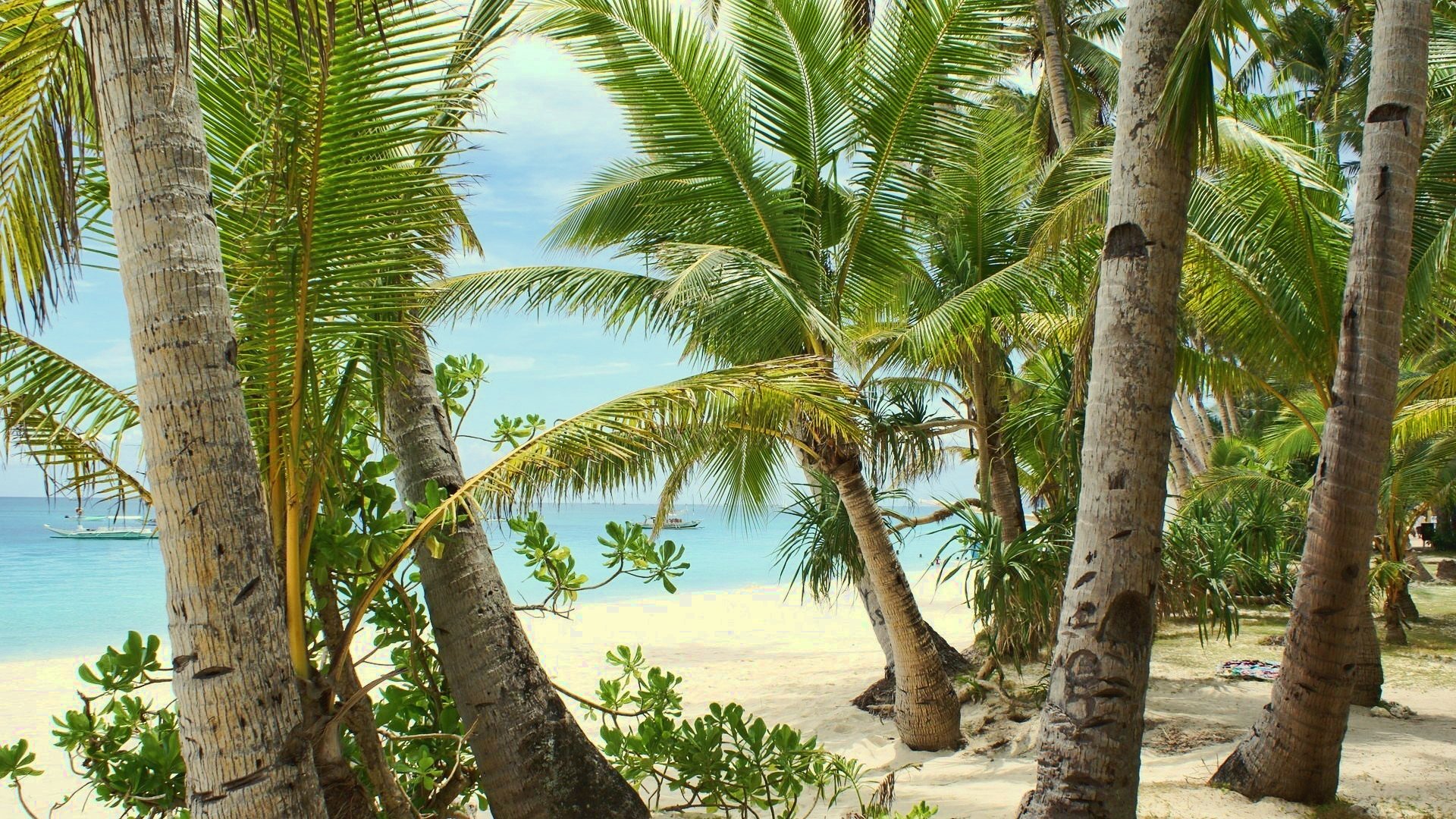 estate caldo vacanza spiaggia sabbia mare palme